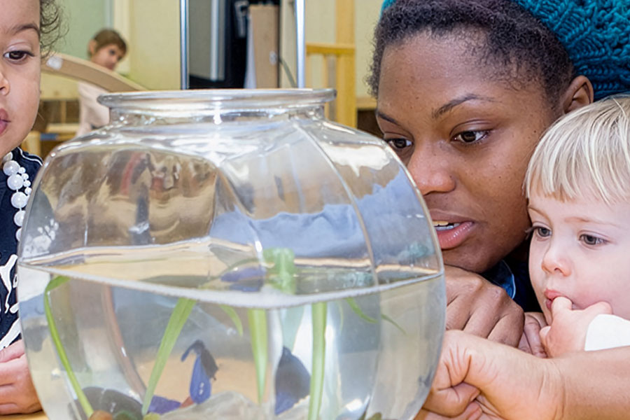Children and an adult observing fish and plants together inside a clear glass bowl.