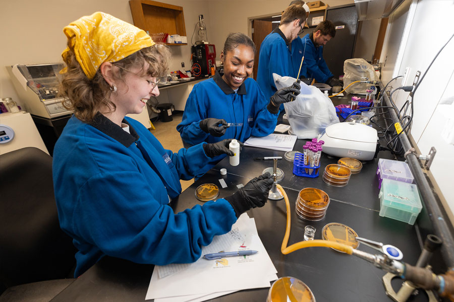 Students working in a science laboratory at Appalachian State University in Boone, North Carolina. 