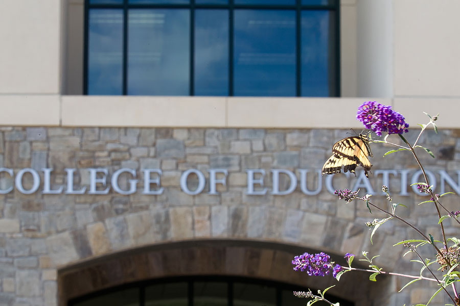 Yellow and black butterfly resting on purple flowers near the College of Education entrance.