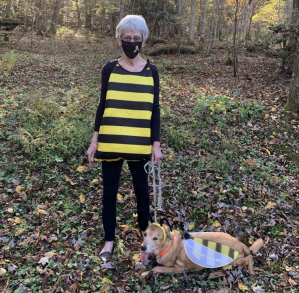 Kaaren in bee costume