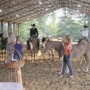 Jill Van Horne and Beth Allen work with horses