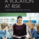 A Vocation at Risk Book Cover