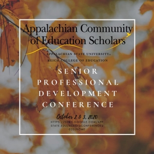 ACES Senior Professional Development Conference