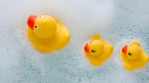 Rubber Ducks