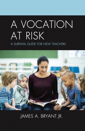 A Vocation at Risk Book Cover