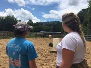 Graduate students Jessica Crandell ’16, left, and Danielle Joyce observe the horses at Lazy Acres Farm during the Equine Assisted Learning and Psychotherapy course. The seeing student practices describing the horses’ actions to the blindfolded student using plain language. Through this trust-building exercise, students learned how to describe behavior without interpretation. Photo by Rebekah Saylors
