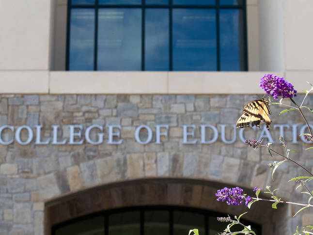 Yellow and black butterfly resting on purple flowers near the College of Education entrance.