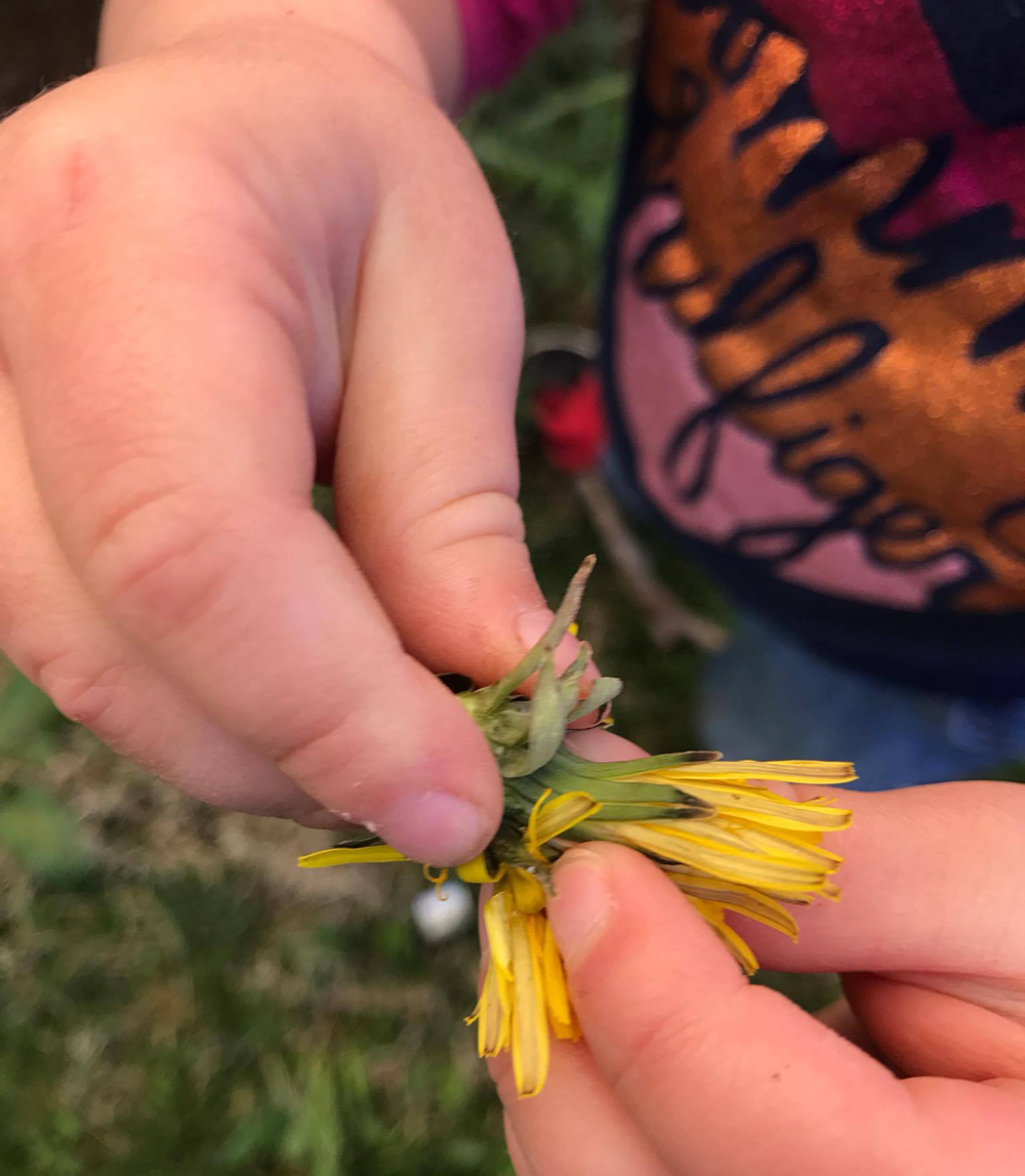 LBCDLS, which is operated by the Department of Family and Child Studies (FCS) at Appalachian State University’s Reich College of Education (RCOE), is the longest running lab program in the state.